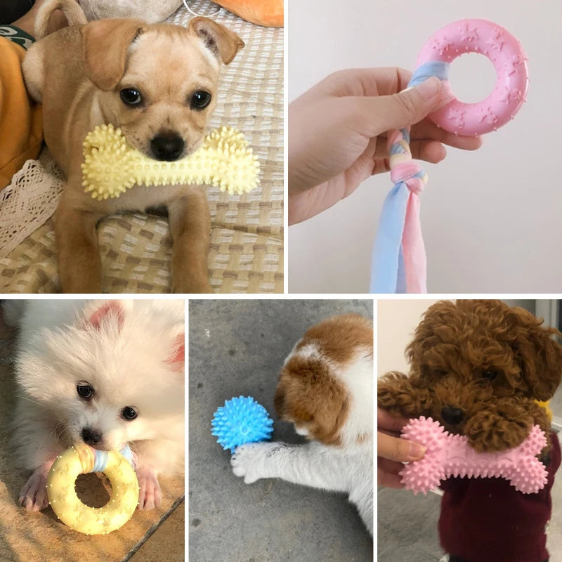 Toys for Small Dogs
