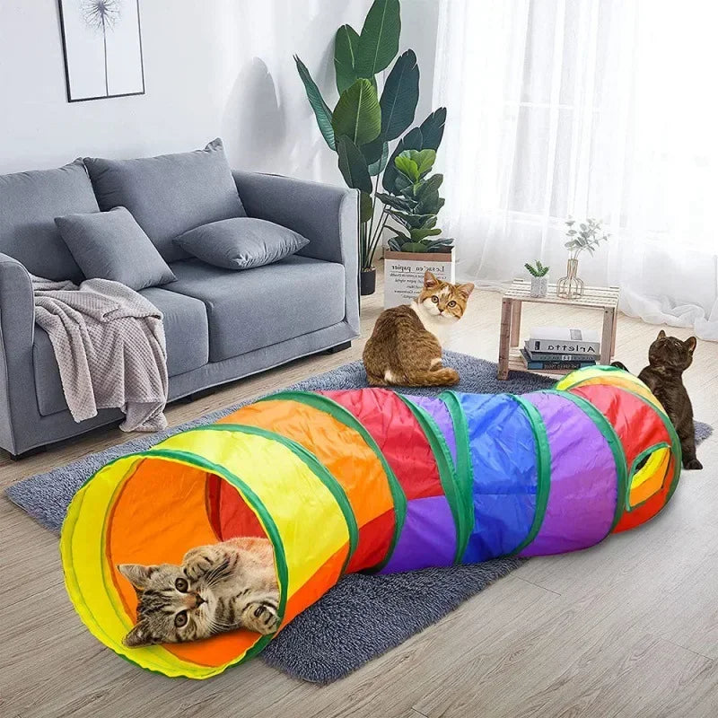 Cat Tunnel