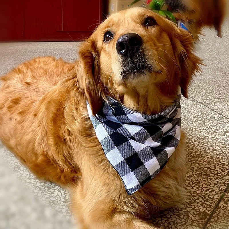 Dog and Cat Bandanas