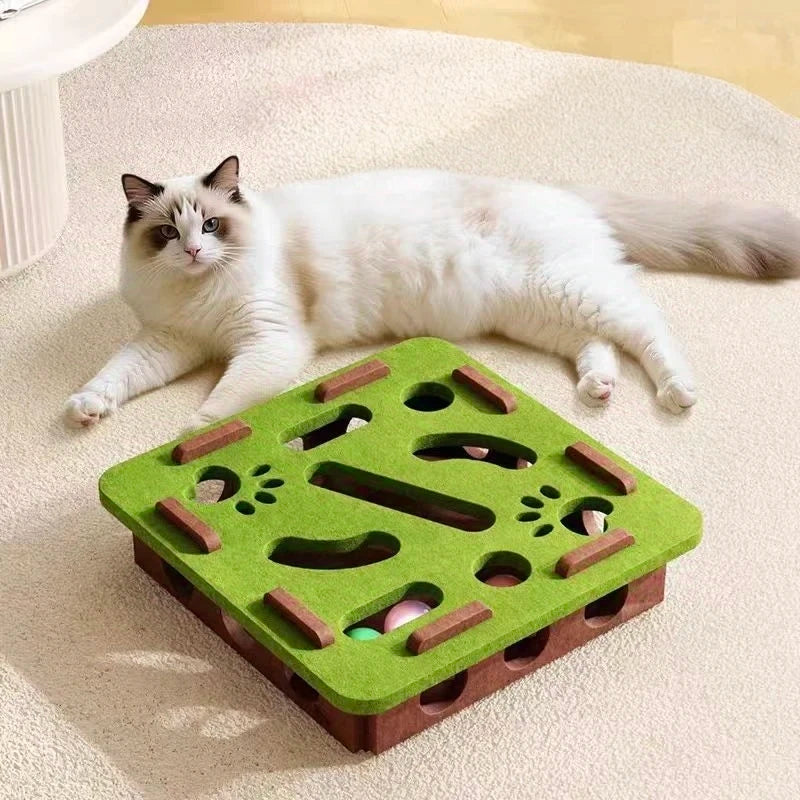 Maze Box for Cats
