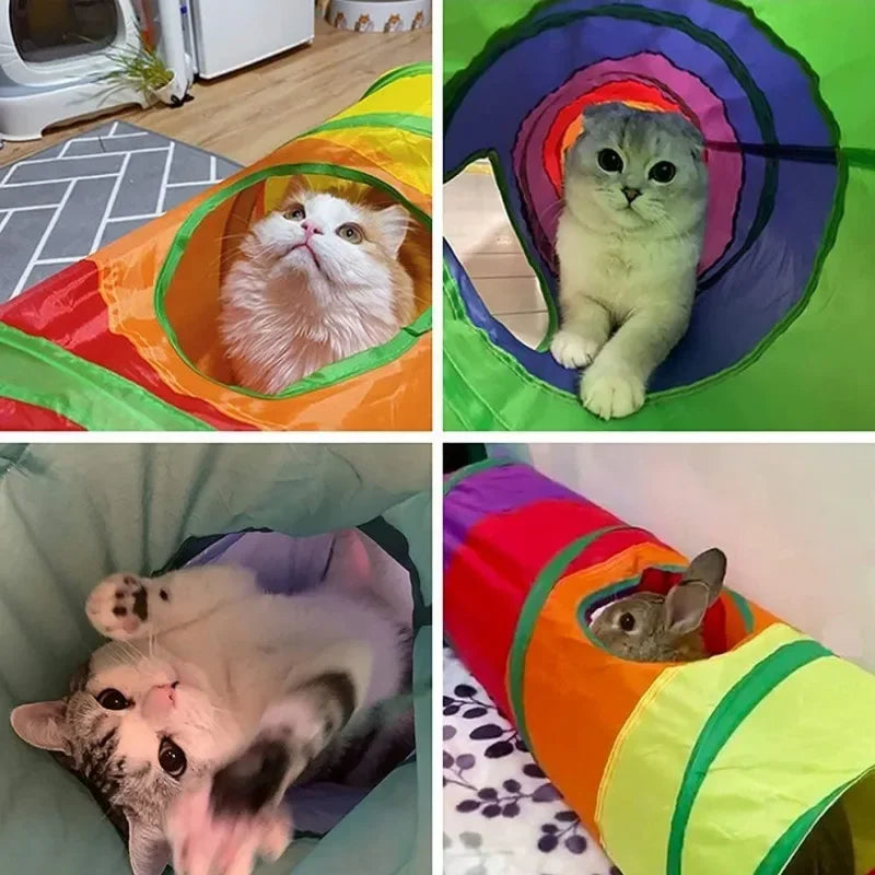 Cat Tunnel