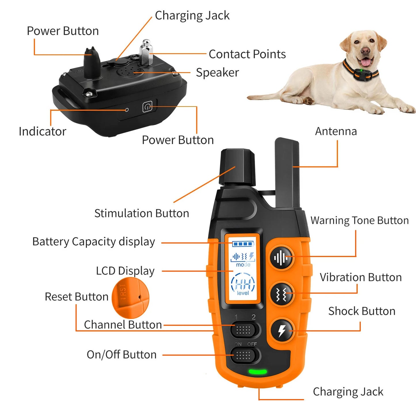 Electric Dog Training Collar