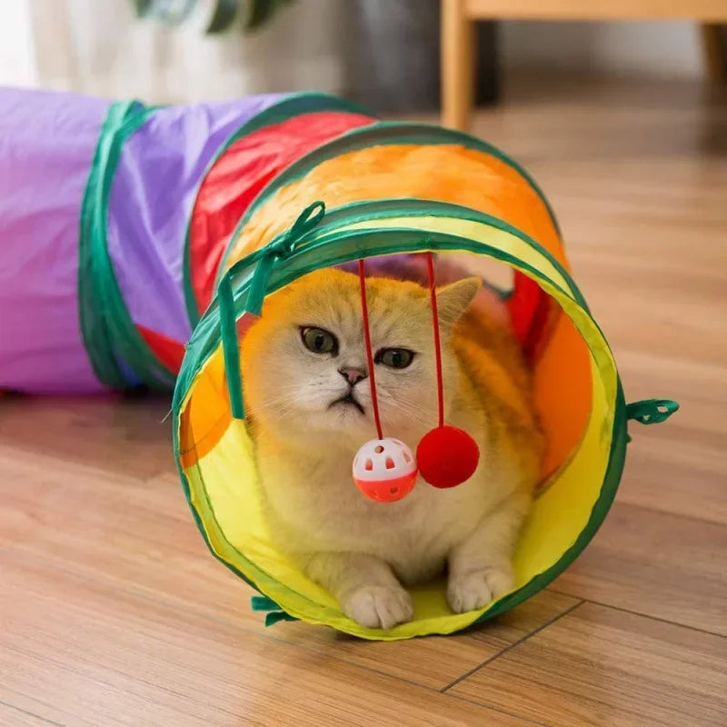 Cat Tunnel
